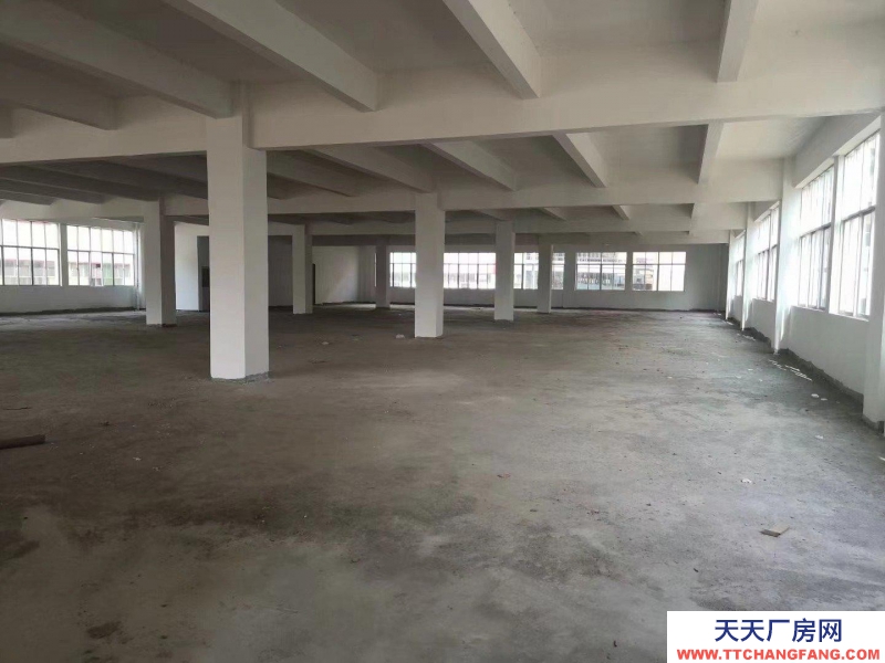 (出租) 梅州五華整棟出租1-5層1350平方每層有地梯適合醫(yī)療電子玩具等