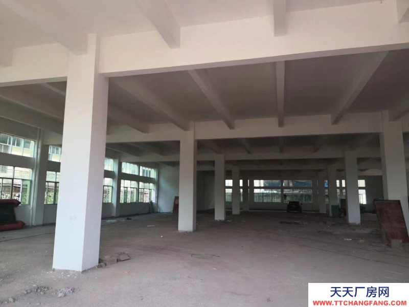 (出租) 梅州五華整棟出租1-5層1350平方每層有地梯適合醫(yī)療電子玩具等