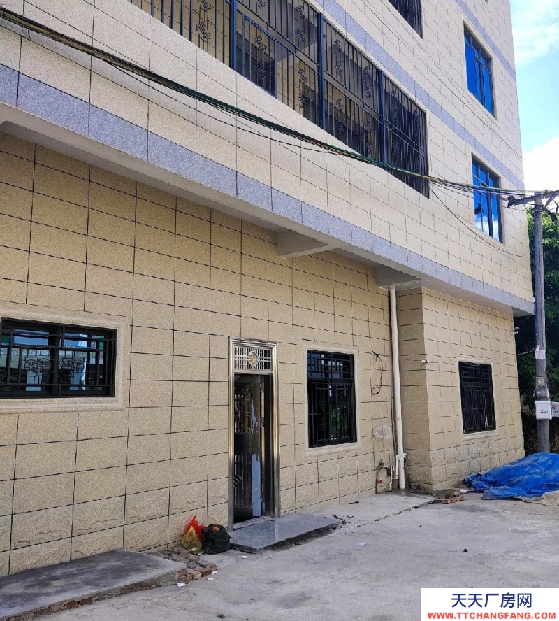 (出租) 梅州興寧工業(yè)園附近/獨(dú)棟兩卡/停車(chē)方便/四面采光/四層/可裝電梯可生產(chǎn)加工可倉(cāng)儲(chǔ)