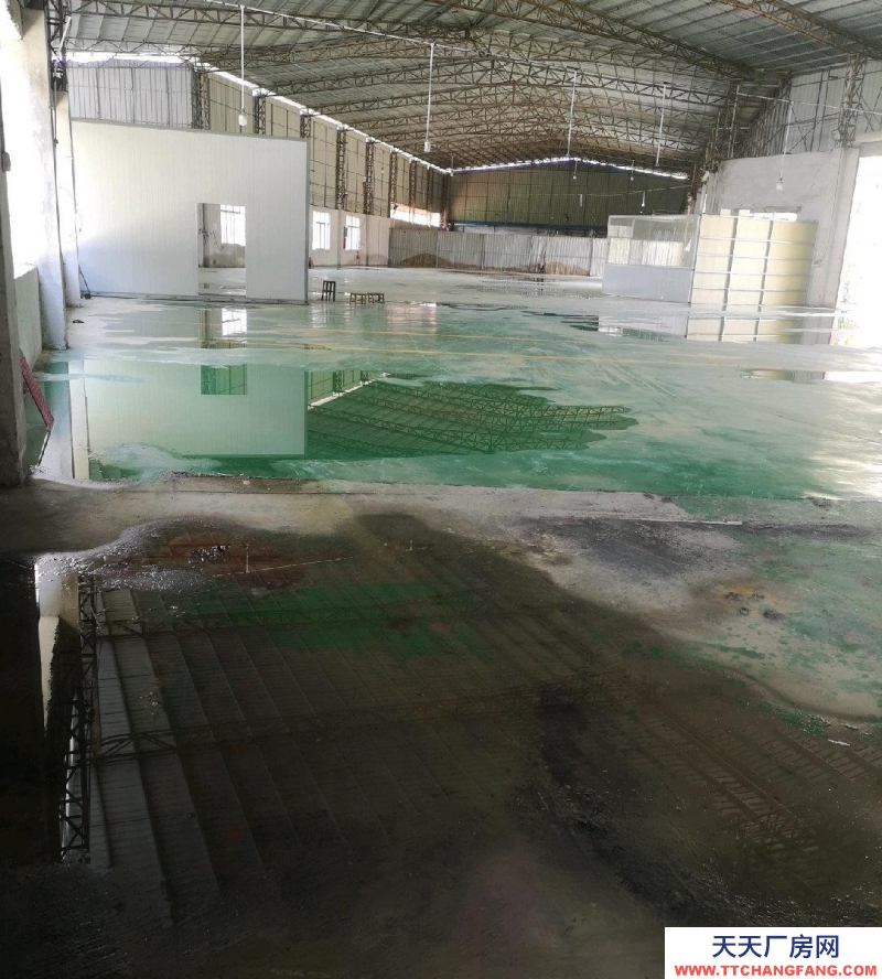 (出租) 梅州興寧洋里附近標準鋼結構配變壓器且大拖頭易進出，可做機械加工