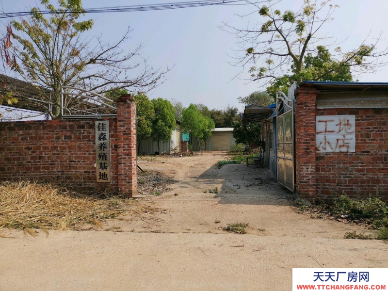 (出租) 梅州興寧四周圍墻，內有空地，水，三相電可做五金機電