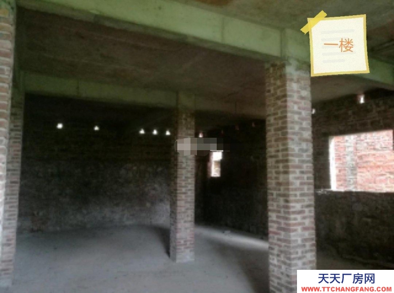 (出租) 梅州興寧葉塘工業園倉庫，廠房，可加工可倉儲