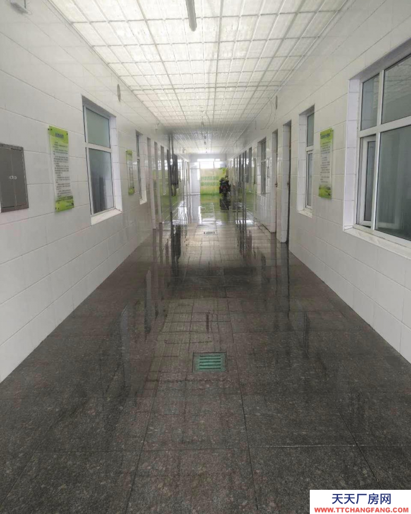 (出租) 食品加工廠80~900平,新城區指定食品園區招商,庫房招租!