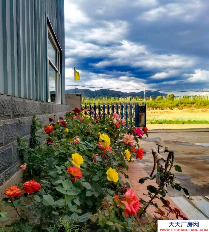 張家口 橋東 糧食加工品廠房出租) 張家口市寧遠(yuǎn)機(jī)場附近1200平米廠房出租