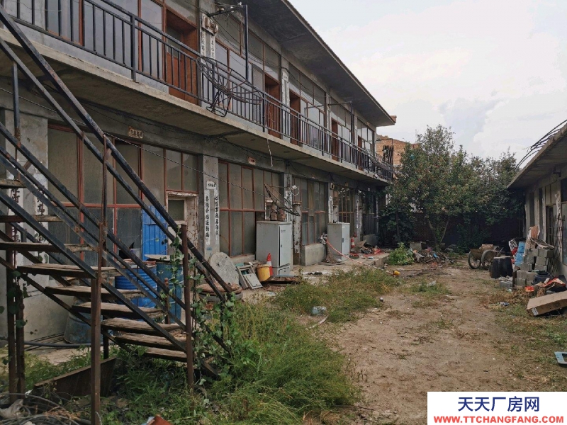 (出售) 新城出租或出售有意者聯系