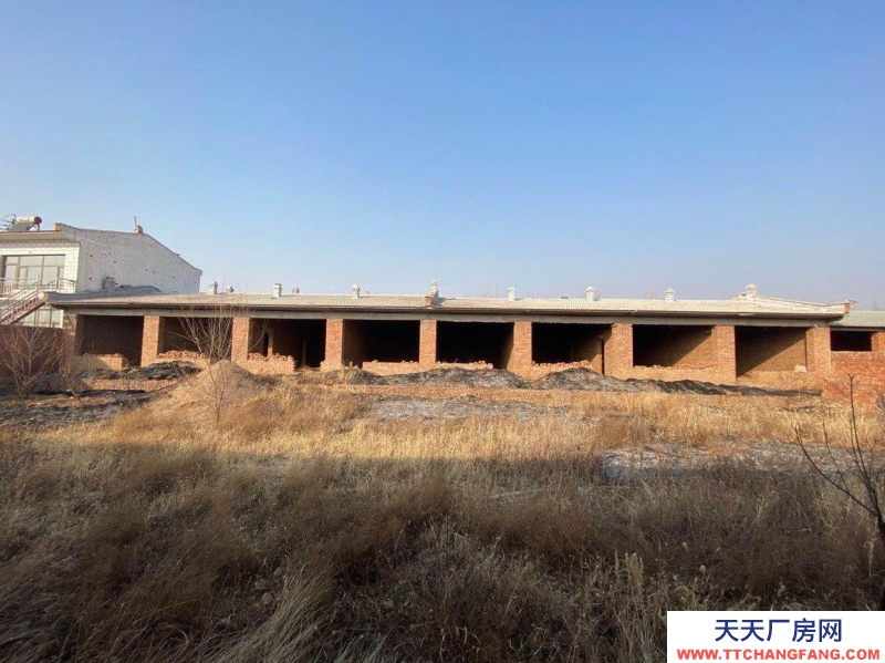 (出售) 急售新城區甲蘭板村大院養殖場