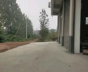 (出租) 周口扶溝馬家場西新縣醫院東鄰