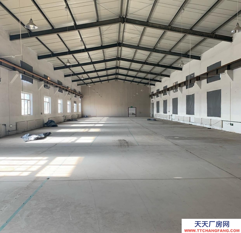 (出租) 新城大小 廠房/倉庫/低價出租