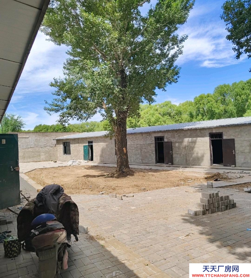 (出租) 玉泉低價出租或尋求合作有毛房適合農家院等