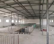 (出租) 周口商水個(gè)人房源，水電齊全，非誠(chéng)勿擾