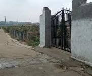 (出租) 周口商水出租民房：東環路東，交通方便