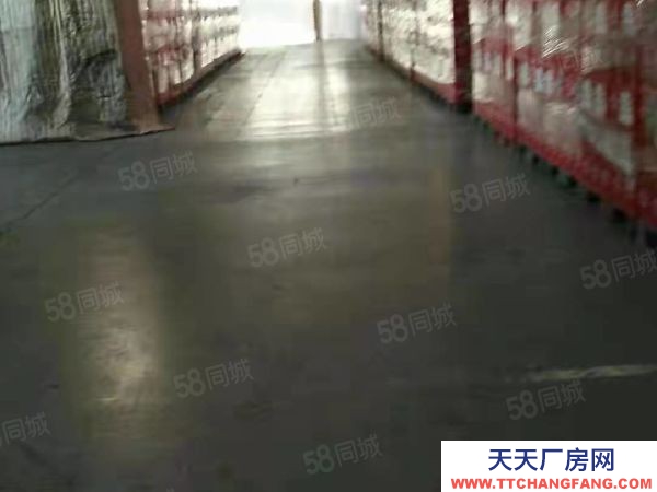 平房冷庫暖庫標準倉庫出租可分租