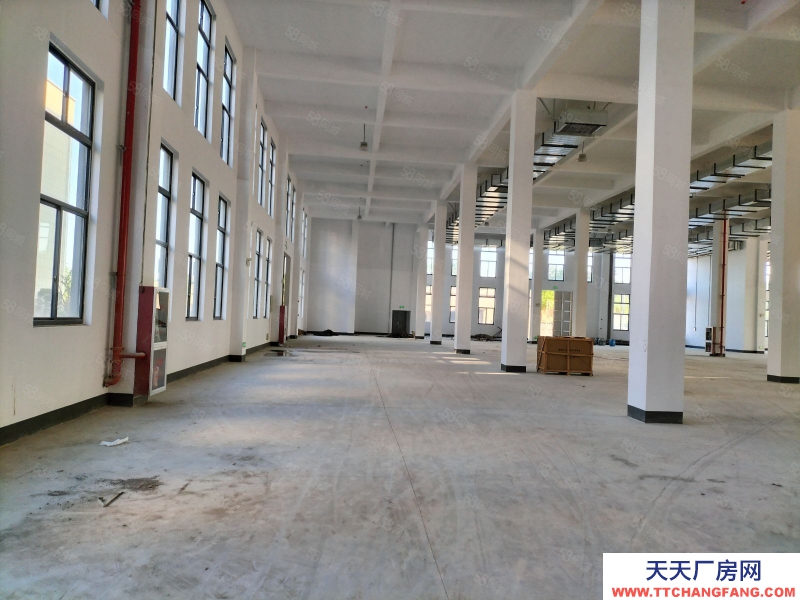紹興市嵊州(出售) 嵊州產業園4000方兩層一樓高8米可裝行五金機械類1200萬