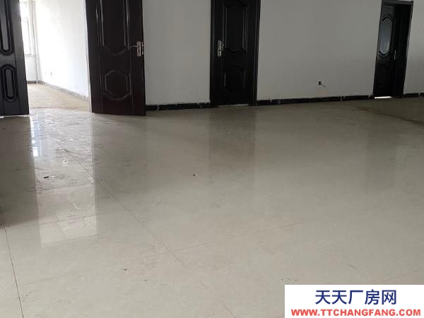 松北交通便利，北京東路街面，適合各種行業