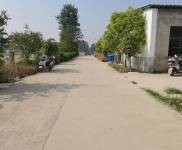 (出租) 周口鄲城加工業，好消息！可租可賣！