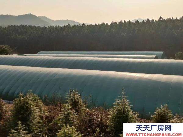 婁底市冷水江養殖廠房 虧本急售。有意者請聯系我