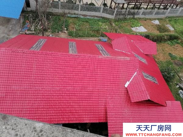 婁底市雙峰茶類飲料廠房 永豐鎮毛坪村 廠房 400平米