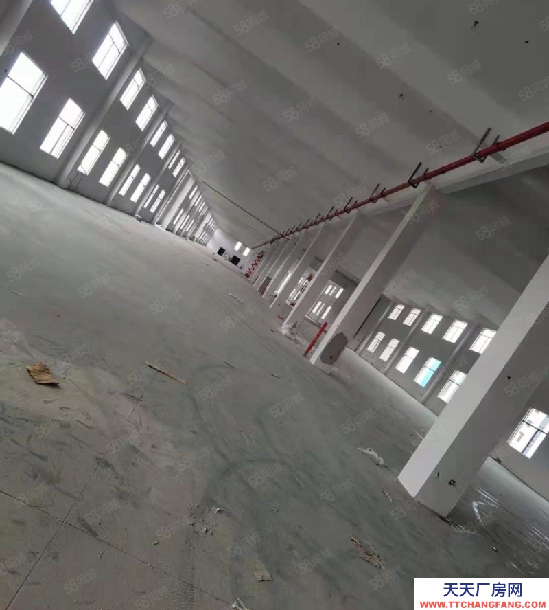 金華市金東(出租) 鞋塘全新廠房單層5000平,位置好適合電商生產(chǎn)企業(yè)