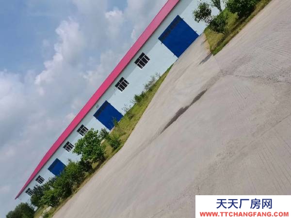 呼蘭區高速口交通便利調味品廠房