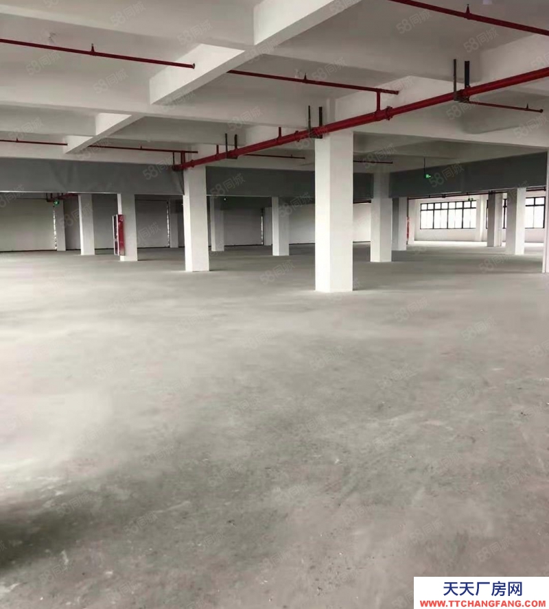 金華市金東(出租) 孝順標(biāo)準(zhǔn)廠房樓上2300平,適合電商倉(cāng)庫(kù) 辦廠企業(yè)入駐