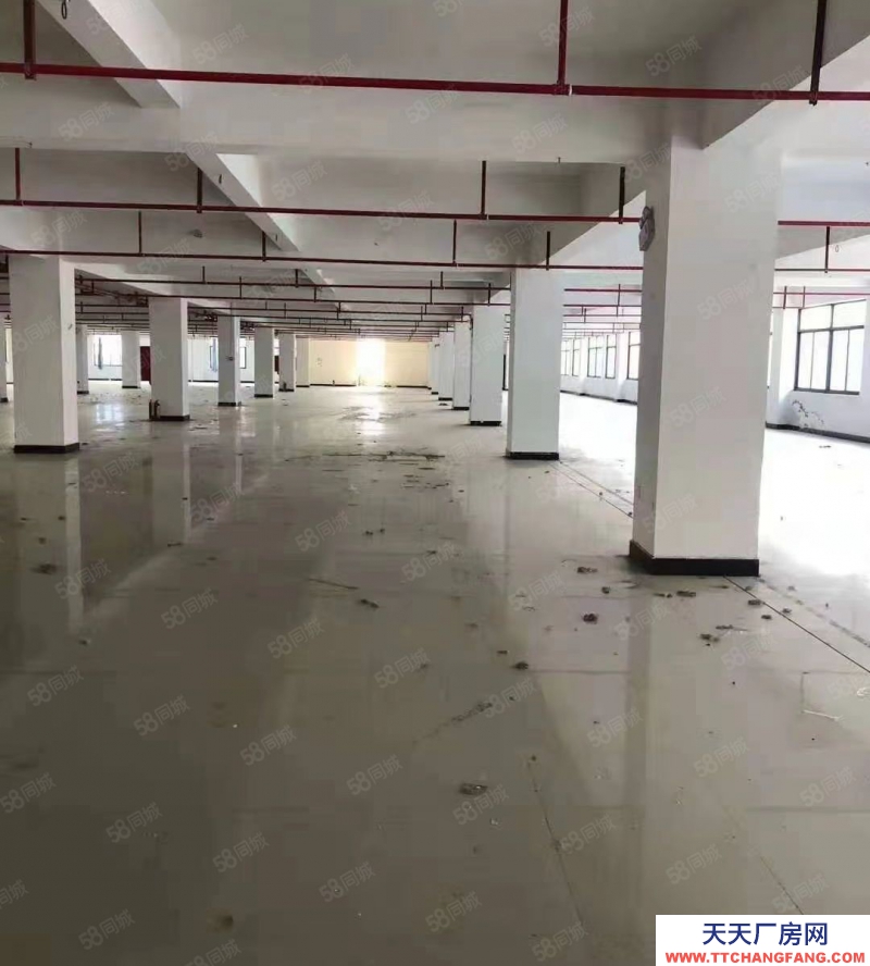 金華市金東(出租) 鞋塘標準廠房樓上3000平，院子寬敞，配套齊全