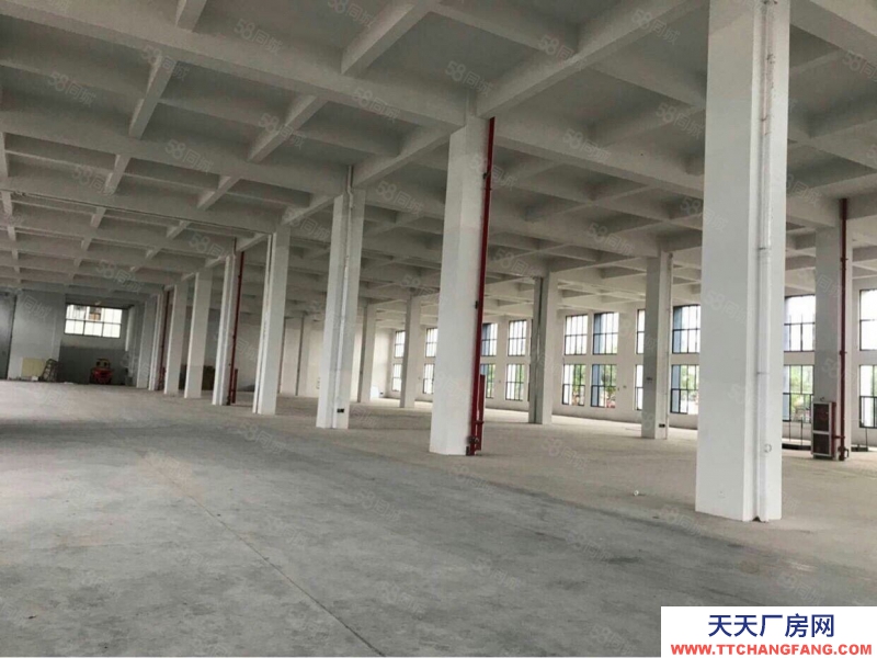 金華市金東(出租) 鞋塘新建獨棟廠房一樓6000平帶裝卸貨平臺無稅收要求