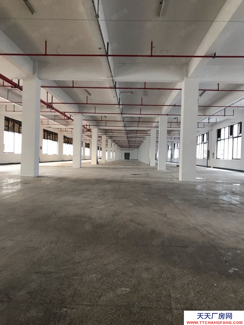 金華市金東(出租) 鞋塘新建獨棟廠房一樓6000平帶裝卸貨平臺無稅收要求