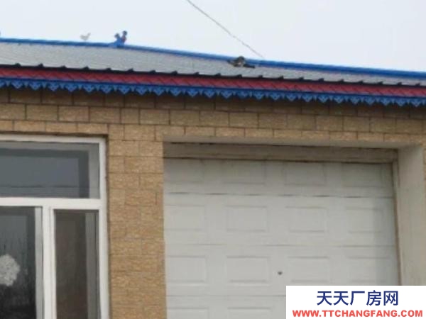 呼蘭新建5年手續(xù)齊速凍制品廠房