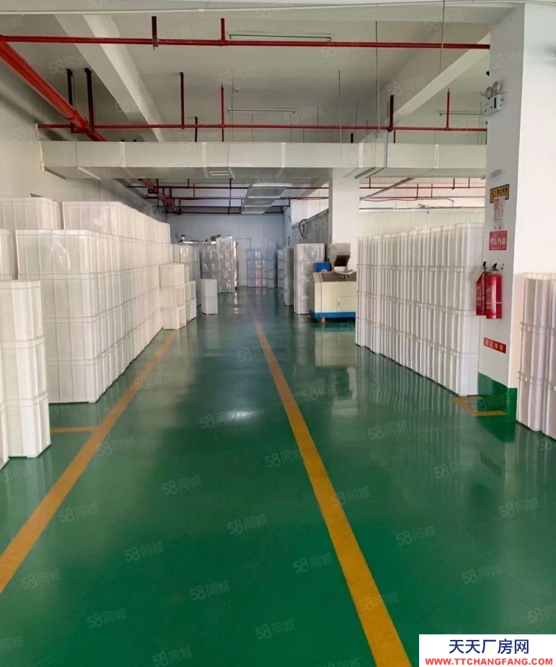 金華市金東(出租) 孝順獨門獨院廠房5000平每層1250平鞋塘每層2800平