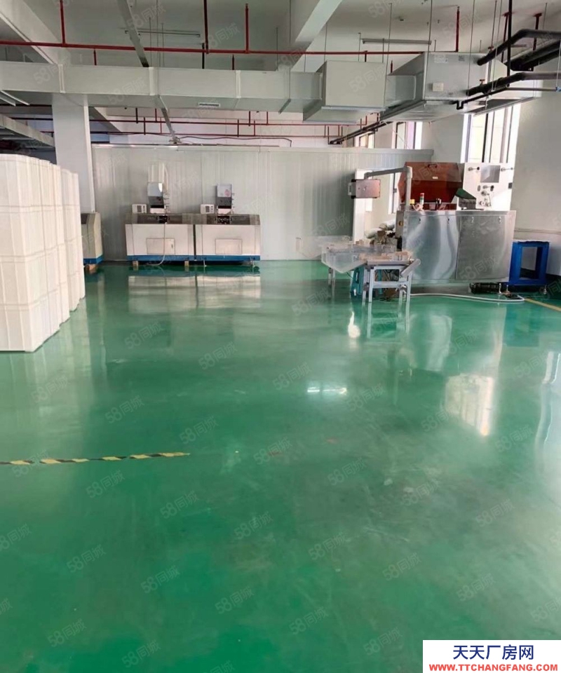 金華市金東(出租) 孝順獨門獨院廠房5000平每層1250平鞋塘每層2800平