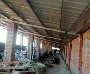 (出租) 周口鄲城人民公園西500米 可做倉庫，養殖場，改建廠房