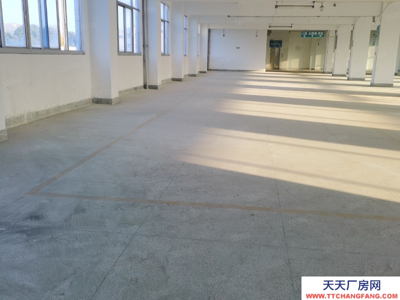 (出租) 汕尾城區(qū)東涌附近廠房3000平方一層1100平可分層租,可做培訓(xùn)機構(gòu)