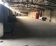 (出租) 周口淮陽區四通鎮附近獨門獨院廠房