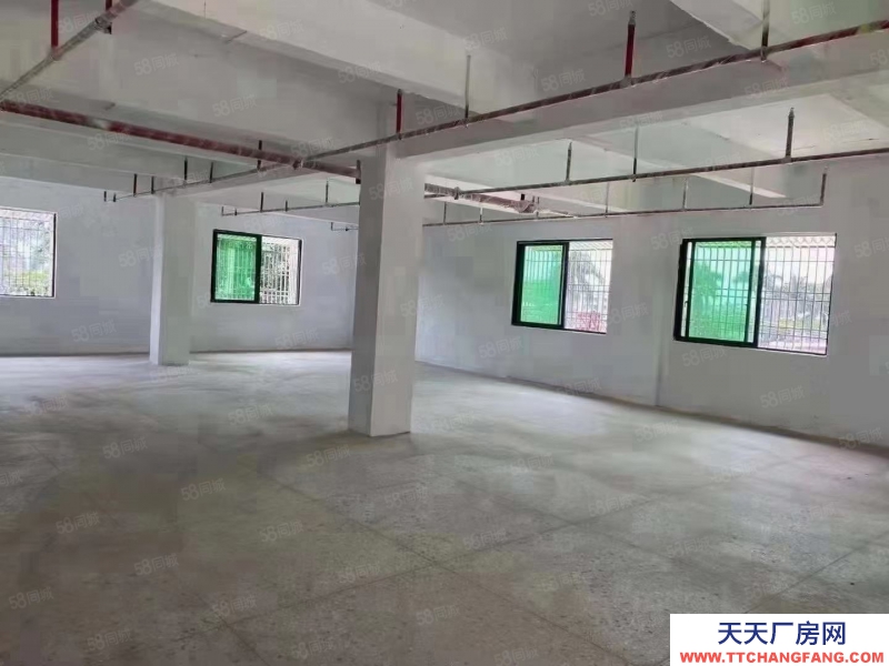 (出租) 汕尾海豐天悅龍庭附近全新廠房出租,已經做好消防可做面包糕點