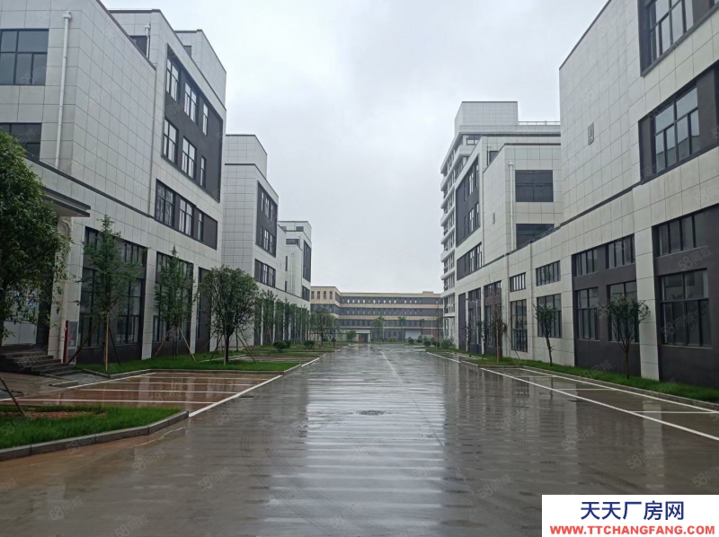 金華市金東(出售) 現房3層半戶型，超寬主路，進出方便，位置優越，先到先得印刷 注塑 小加工