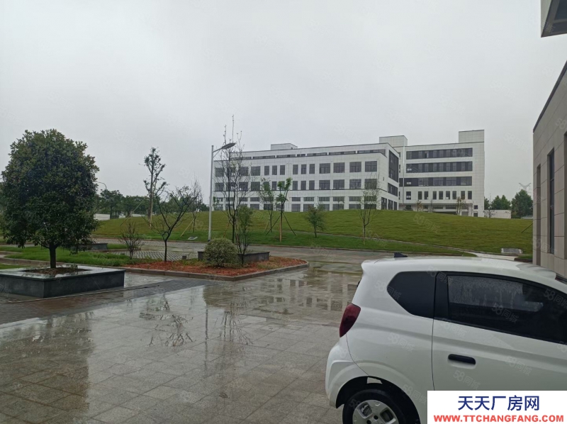 金華市金東(出售) 現房3層半戶型，超寬主路，進出方便，位置優越，先到先得印刷 注塑 小加工