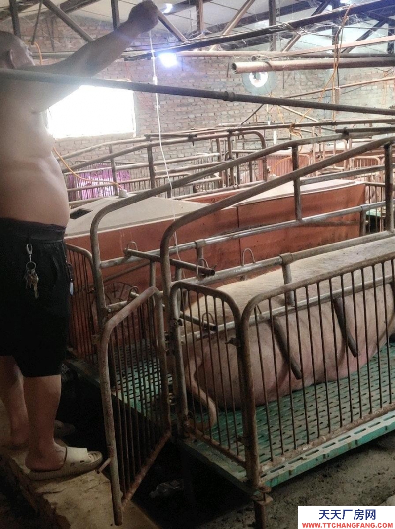 張家口 宣化  (出售) 這是一個(gè)豬廠，水電齊全