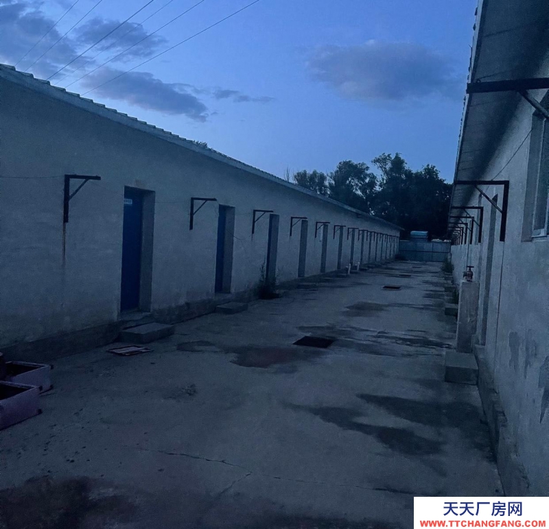 張家口 下花園 (出租) 食用油工廠臨近馬路交通便利