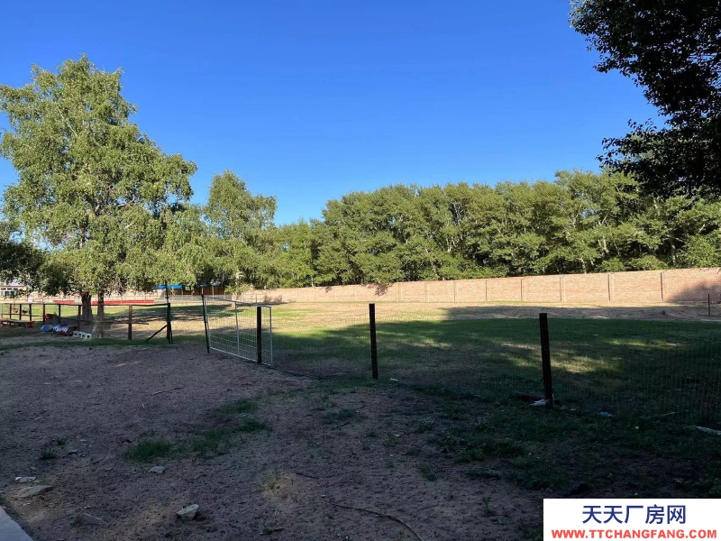 張家口 張北縣 (出租) 養殖場出租，離天路近