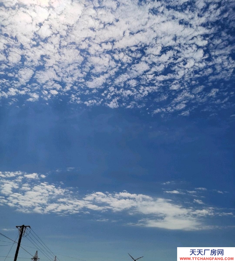 張家口 張北縣 (出售) 多應用型土地，地段，環境好，可以蓋別墅 名宿公寓等