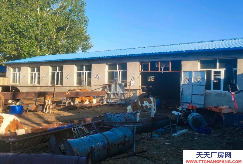 張家口 張北縣 (出售) 廠房，庫房，南山公園附近