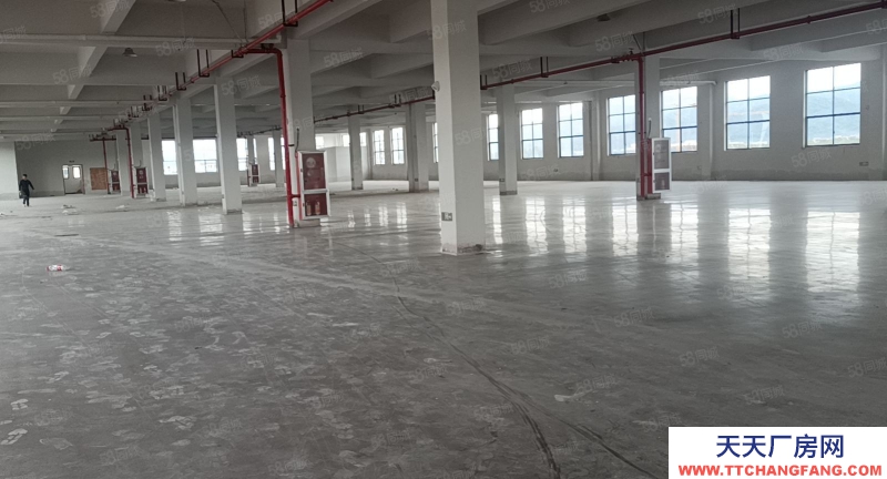 金華市武義(出租) 冷水坑標準廠房一樓800樓上4600平，出入方便，廠房全新，五金加工 機械制造