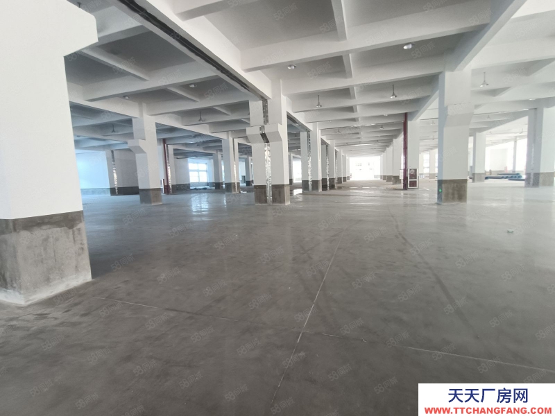 金華市武義(出租) 冷水坑標準廠房一樓800樓上4600平，出入方便，廠房全新，五金加工 機械制造