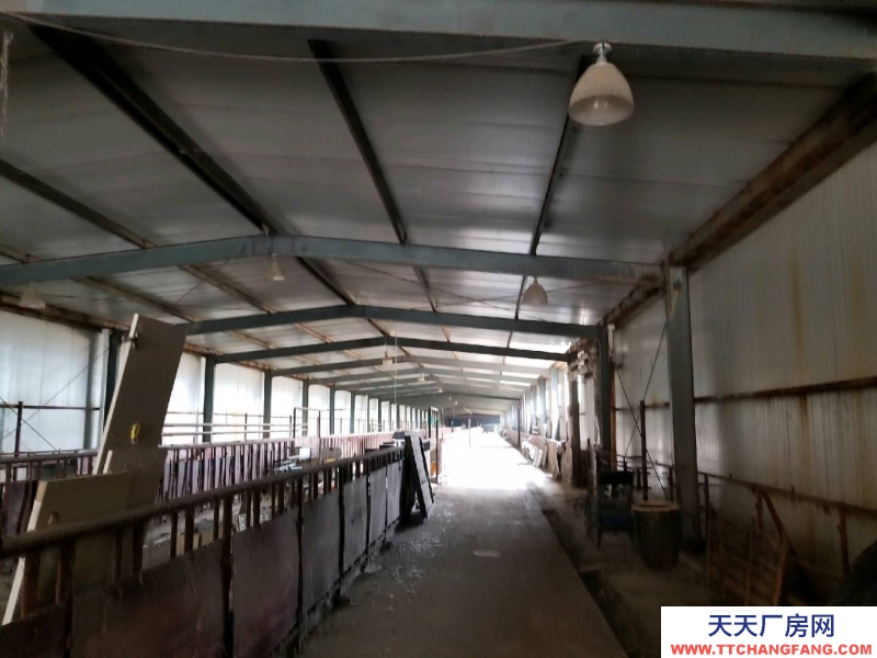 (出租) 和林格爾乳都大型養(yǎng)殖場(chǎng)地出租,合作