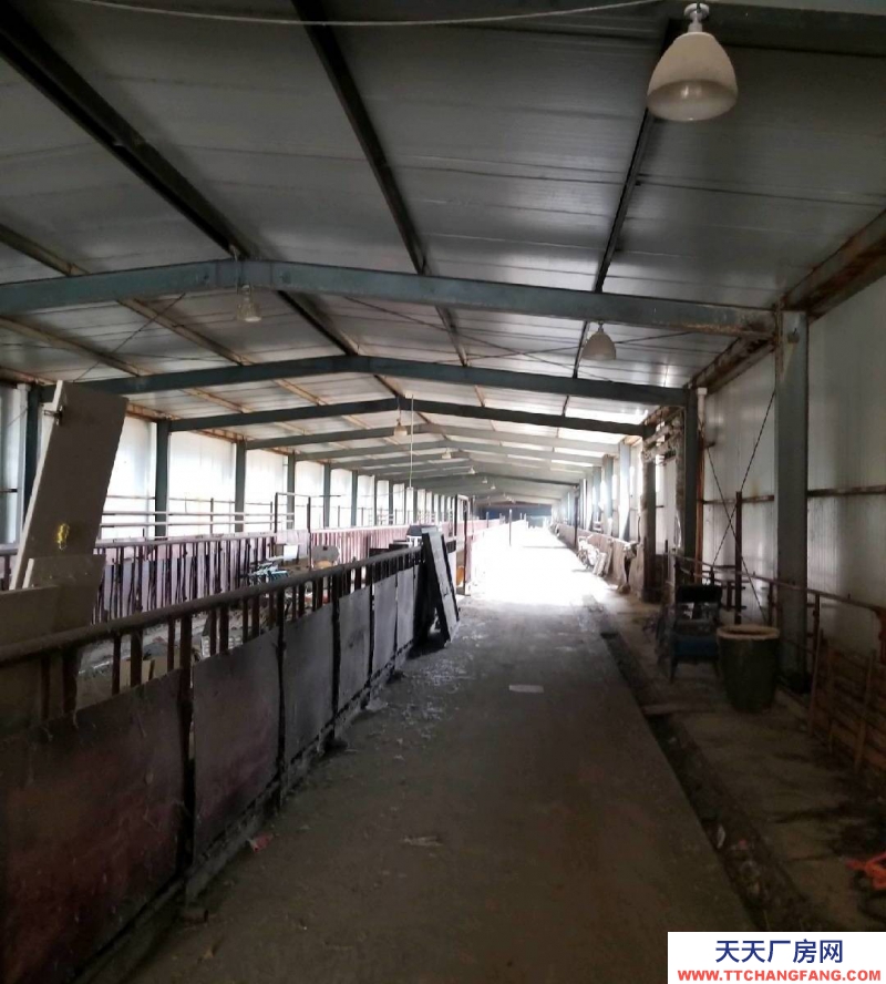 (出租) 和林格爾乳都大型養(yǎng)殖場地出租，合作