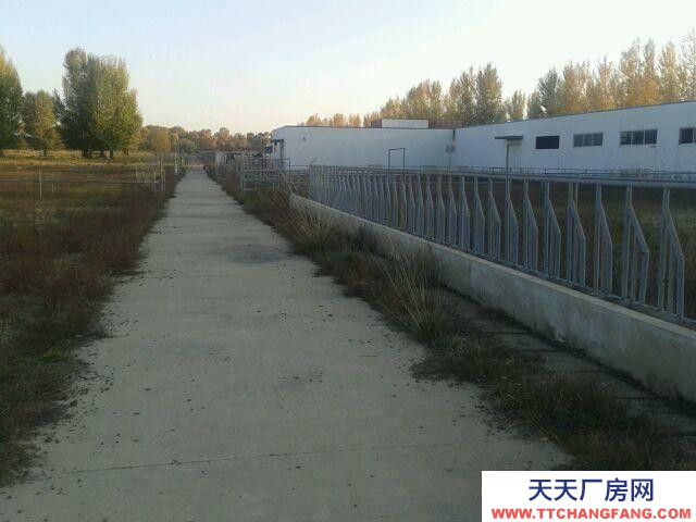 (出租) 和林格爾專業(yè)牧場，牛，羊基地，水電齊全，交通便利。