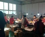 (出租) 周口鹿邑廠房出租美容化妝產業鹿邑縣開發區