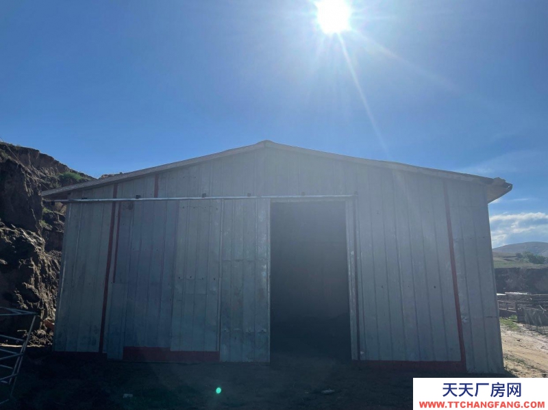 (出售) 和林格爾出租出售轉(zhuǎn)讓養(yǎng)殖藏香豬場地、大量藏香豬轉(zhuǎn)手低價賣