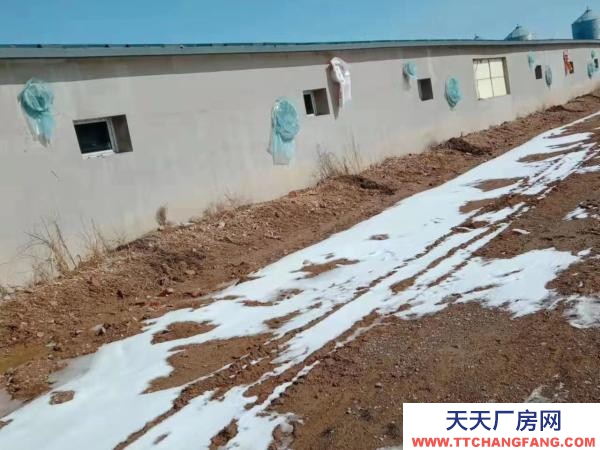 賓縣賓縣城區(qū)育肥豬場廠房出售