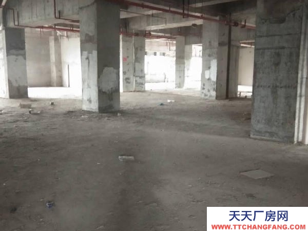 張家界市永定物資倉庫 永定區西溪坪金華苑辦公樓寫字樓臨街房屋，整層出租商業綜合